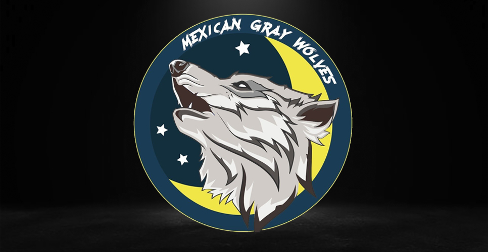 GrayWolvesTeam